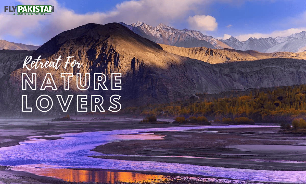 Book Hotels in Pakistan